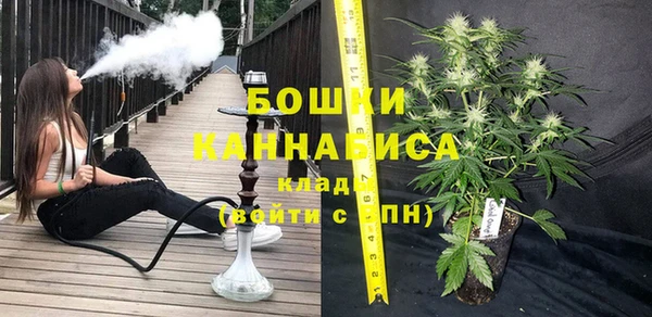 прущие грибы Покровск