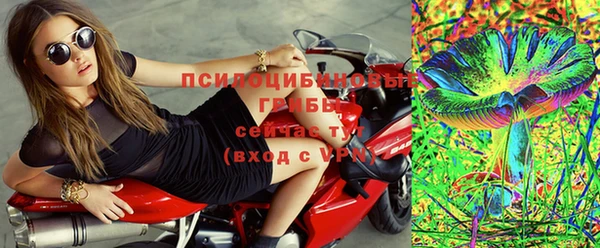 шишки Абинск