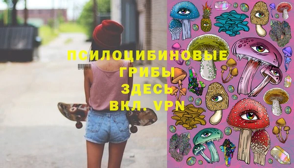 хмурый Абаза