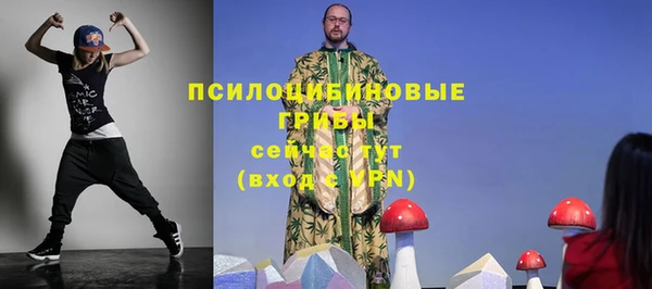 хмурый Абаза