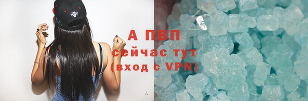 хмурый Абаза