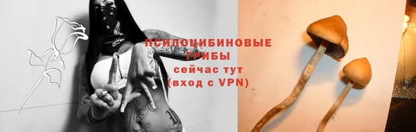 шишки Абинск