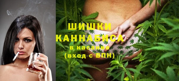 шишки Абинск