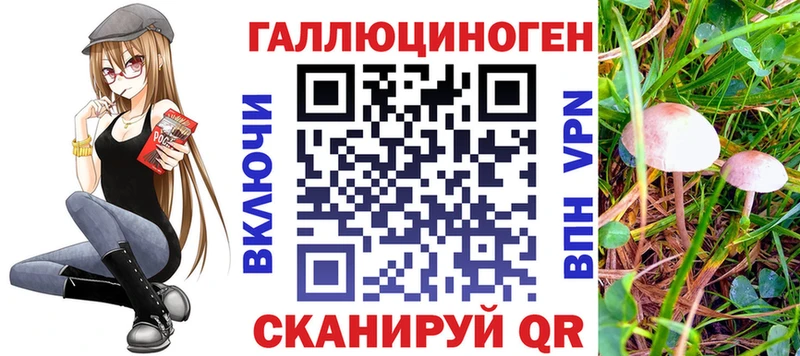 где купить   Нижняя Тура  Псилоцибиновые грибы MAGIC MUSHROOMS 